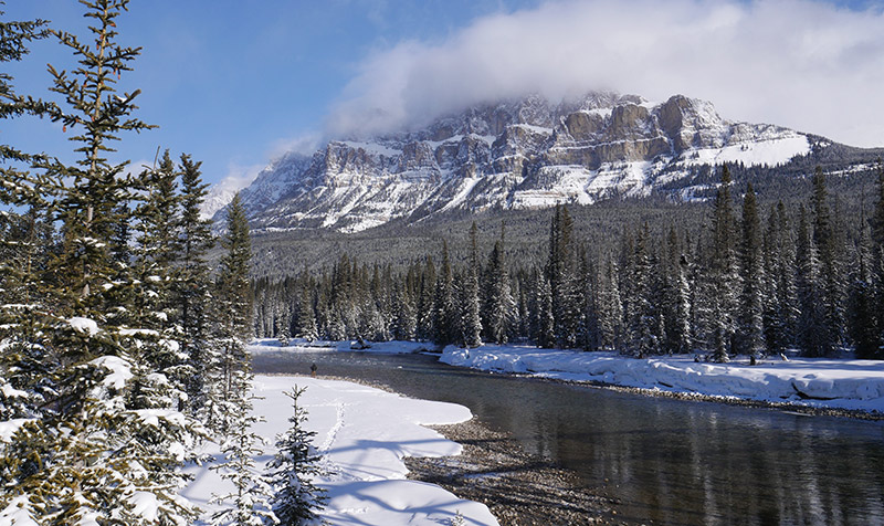 Canadian Rockies in Winter : Action Photo Tours