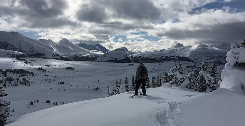 11 Winter Wonderland Trip Ideas in the Canadian Rockies