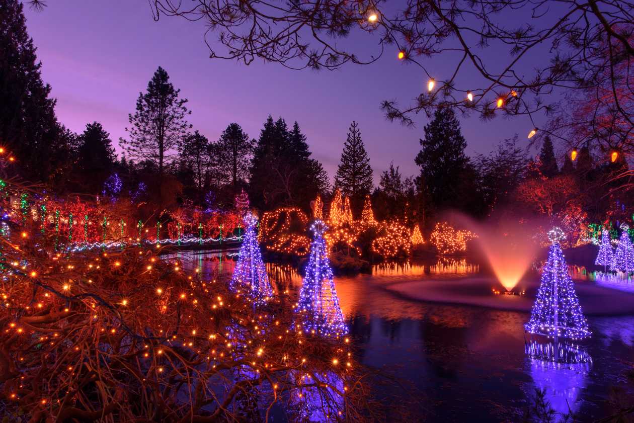 12 Festive Things to Do in Vancouver Tested by Local Experts