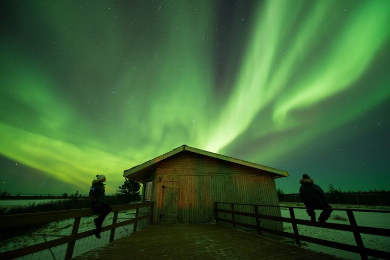 A Winter Guide to Polar Bear Tours in Canada