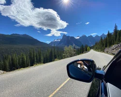 Canadian Rockies by Train, Car or Both ?