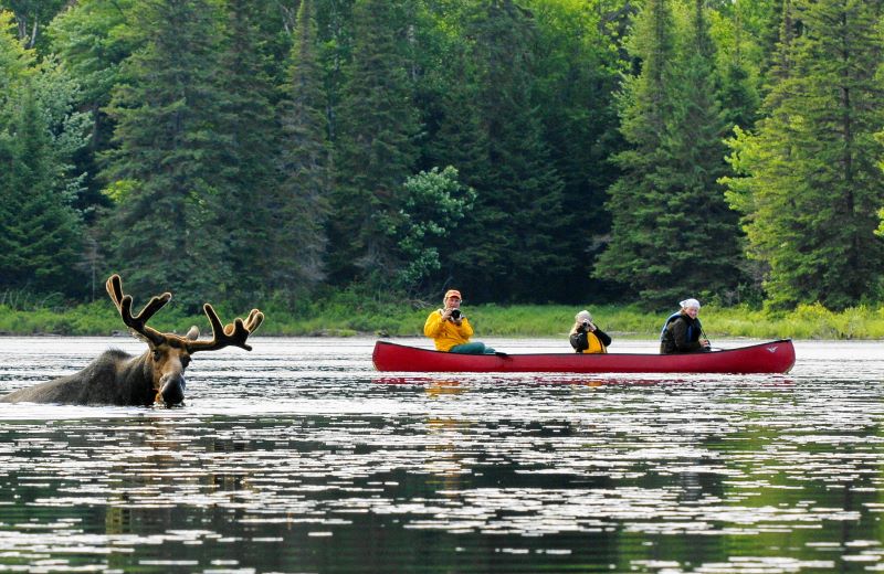 Ontario And Quebec Road Trips