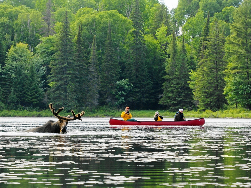 Canoe Trip Packing List Algonquin, PDF, Consumer Goods