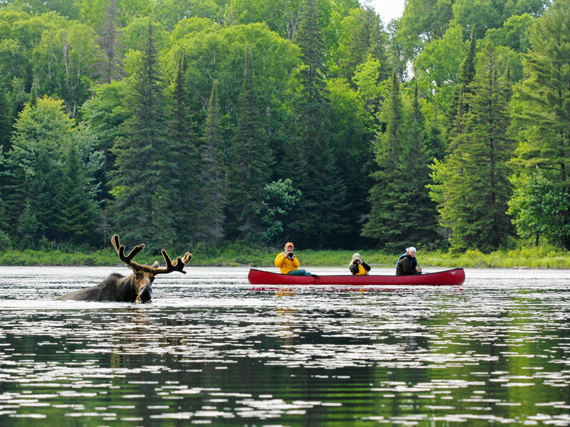 Algonquin Park Guided Canoe Trip