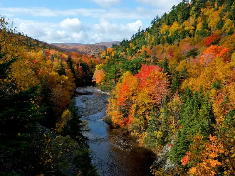 Atlantic Canada Enchanting Islands Road Trip | Cape Breton Trail