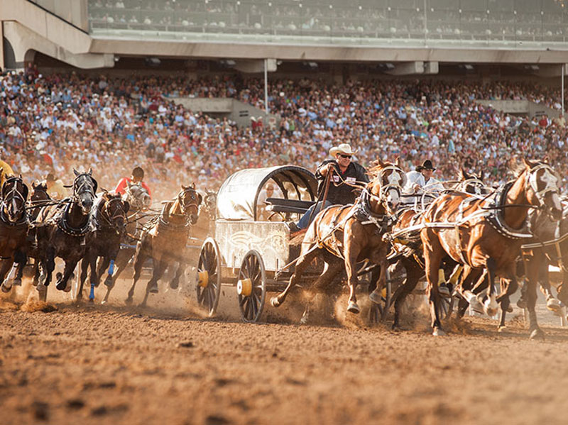 Calgary Stampede 2024 Line Up 2024 Elli Noella