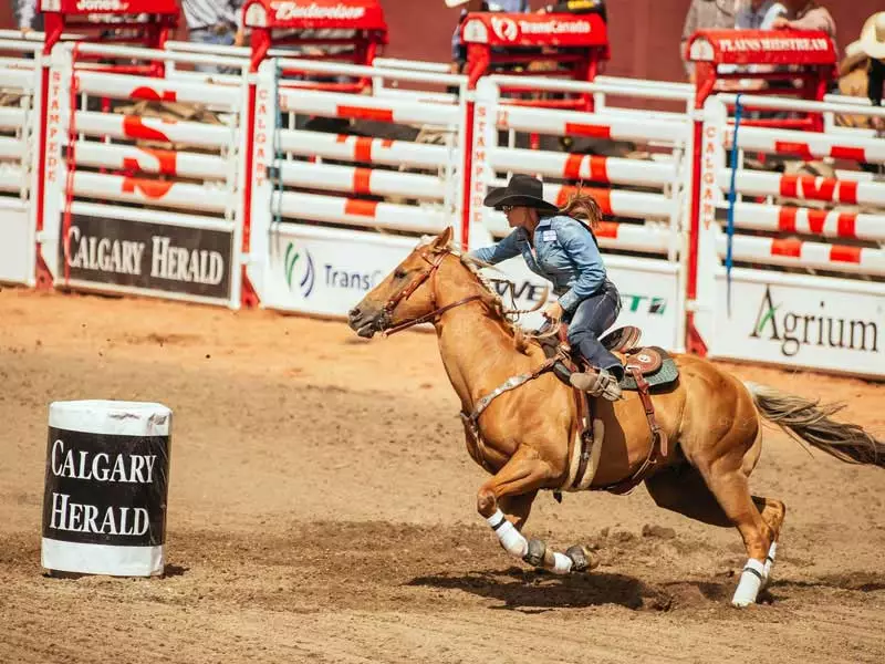 Calgary Stampede Calgary Stampede Packages 2025 & 2025