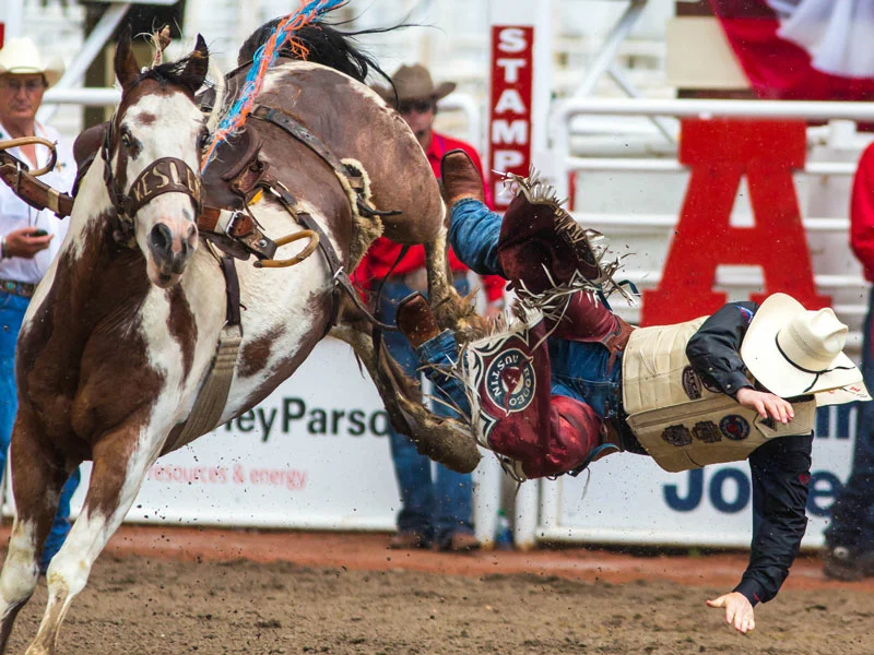 Calgary Stampede Package