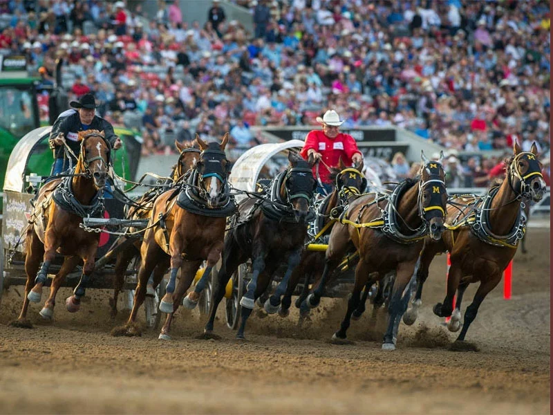 Calgary Stampede Train through the Canadian Rockies | Rocky Mountaineer