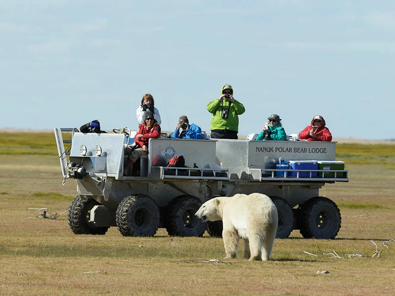 Canada Polar Bear Tour | Hudson Bay Odyssey 