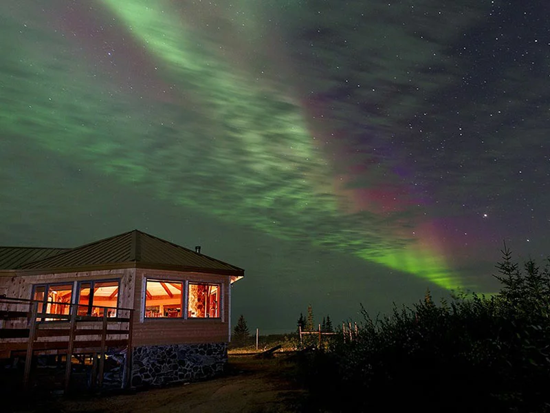 Canada Polar Bear Tour | Hudson Bay Odyssey 