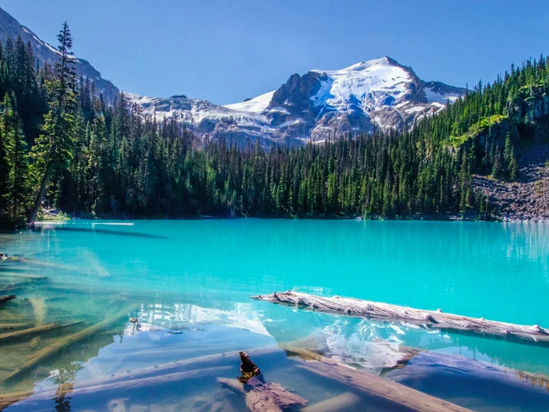 Canadian Rockies & Vancouver Island Road Trip | Joffre Lake 