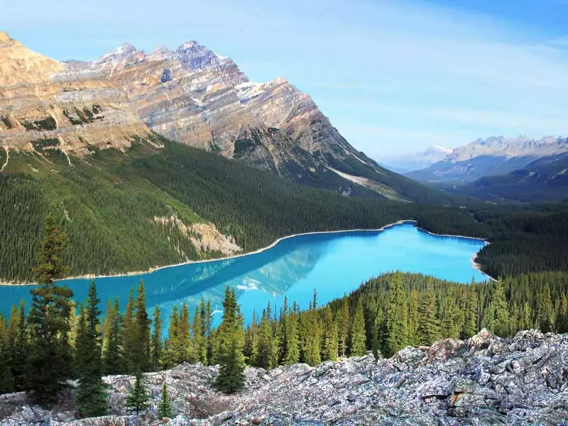 Canadian Rockies & Vancouver Island Road Trip | Peyto Lake Icefield Parkway