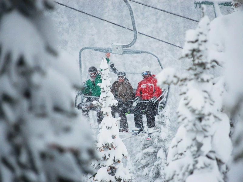 Canadian Rockies Ski Safari 