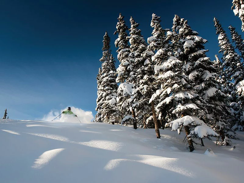 Canadian Rockies Ski Safari 