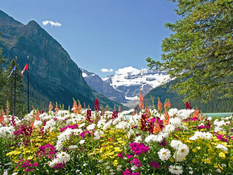 Canadian Rockies Train Vacation Spectacular West