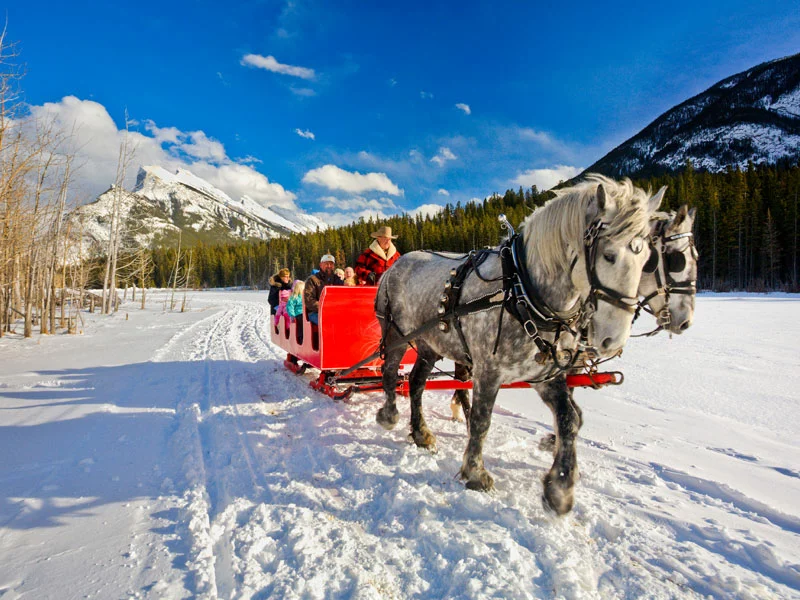 Christmas in the Canadian Rockies Winter Train Vacations | Fairmont Chateau Lake Louise