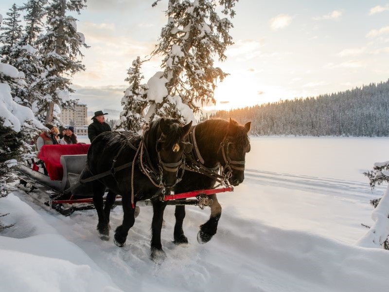 Christmas in the Canadian Rockies Winter Train Vacations | Sleigh Ride