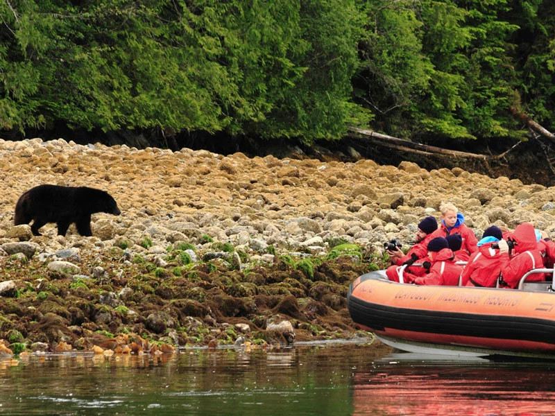 Clayoquot Wilderness Lodge | Canada Luxury Lodges