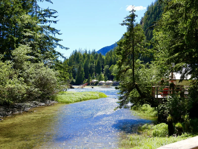 Clayoquot Wilderness Lodge | Canada Luxury Lodges