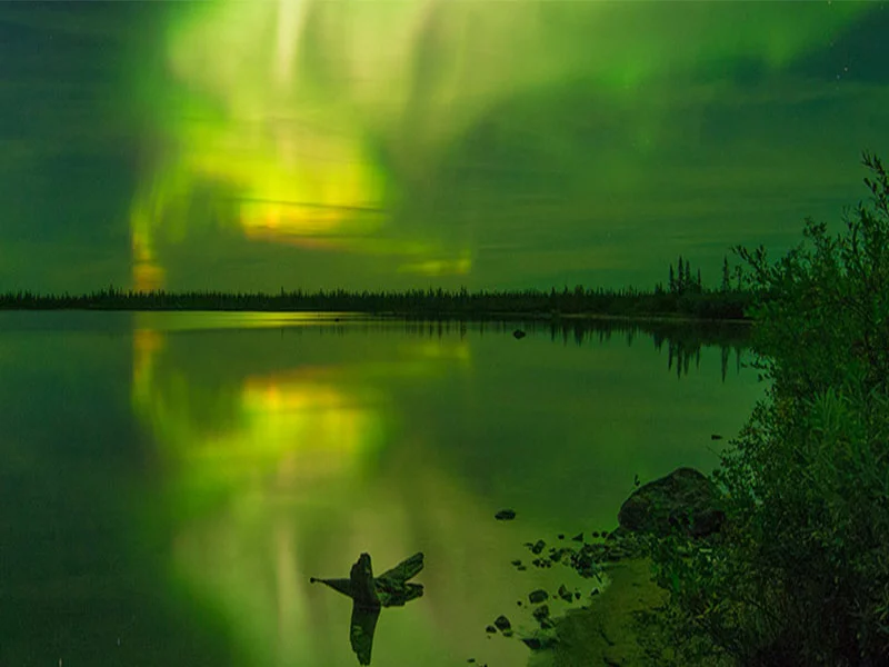 Colors & Lights Arctic Polar Bear Adventure  - Northern Lights