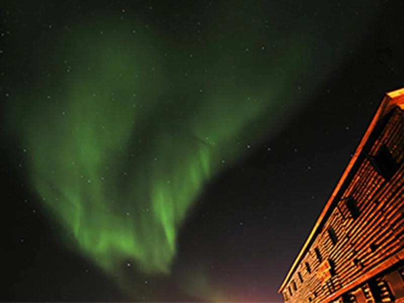 Colors & Lights Arctic Polar Bear Adventure  - Northern Lights