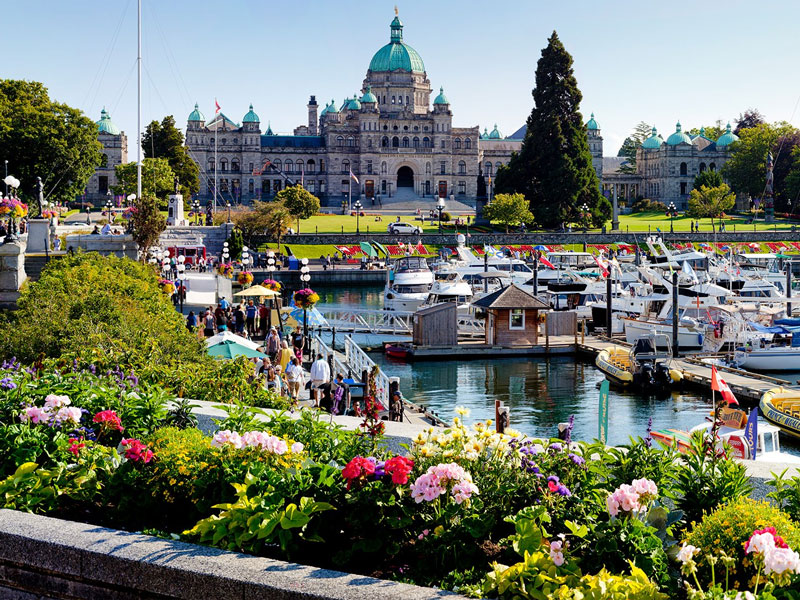Victoria with Whales and Floatplane Package | Victoria