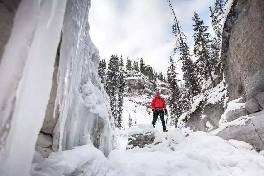 Canadian Rockies Winter Tour | Edmonton to the Rockies 