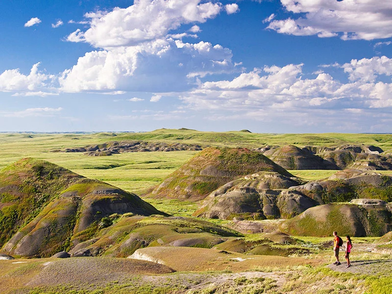 Golden Prairies and Canadian Rockies Road Trip - Grasslands National Park