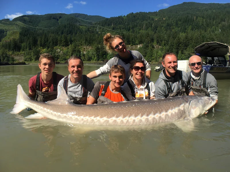 Guided Sturgeon Fishing Package | Fraser River Fishing Lodge