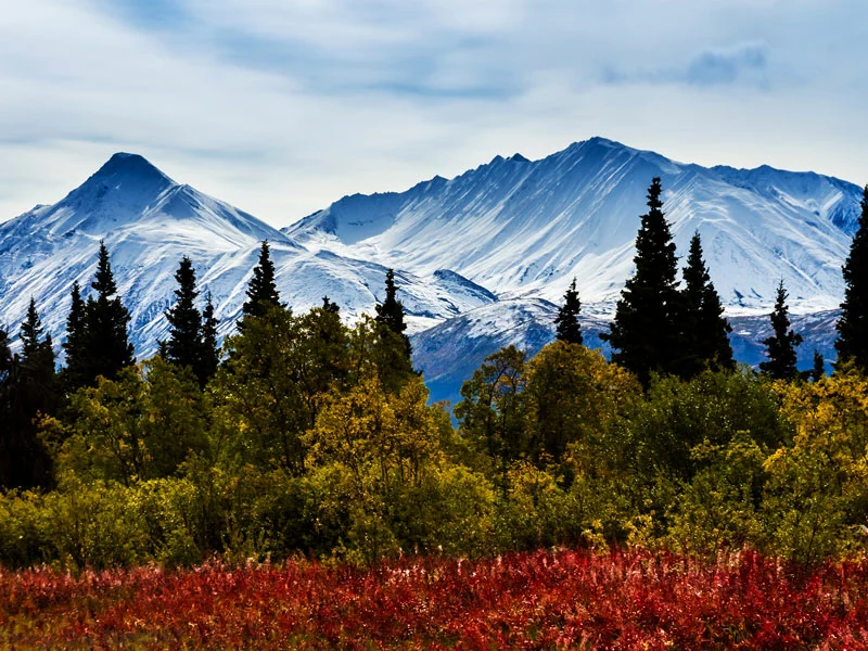 Highlights of the Yukon Road Trip