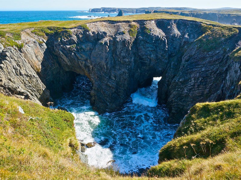 6 Day Iceberg Alley Newfoundland Road Trip Of A Lifetime   Iceberg Alley Newfoundland Road Trip 6 