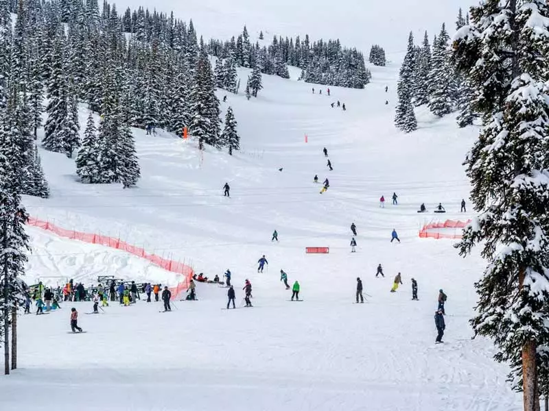 Jasper Ski Packages And Accommodation Deals
