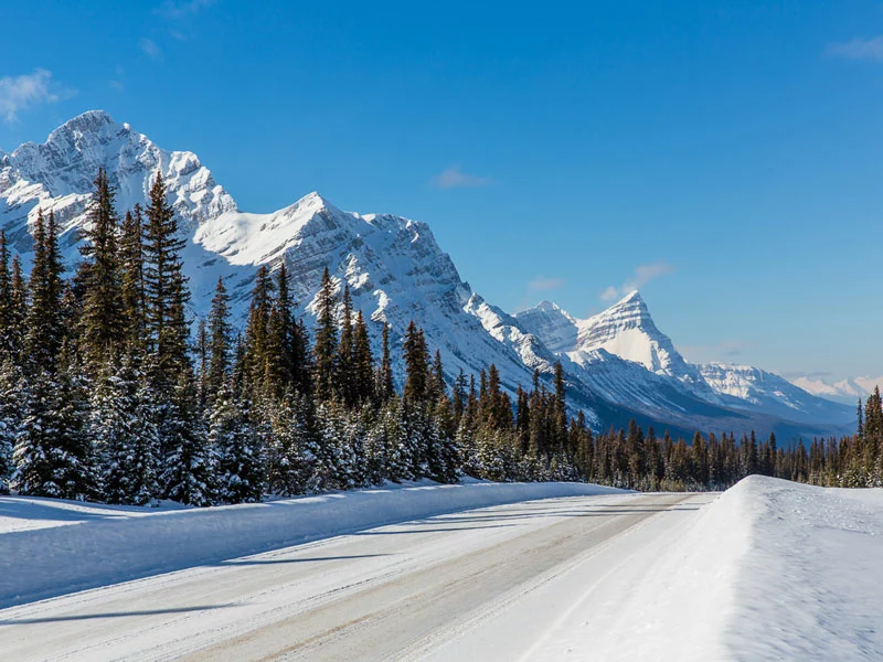 Luxury Snow Train to the Canadian Rockies | Icefield Parkway between Jasper & Lake Louise