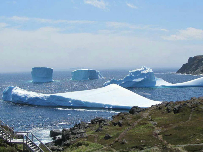 Newfoundland Small Group Tour | Circle Newfoundland & Labrador