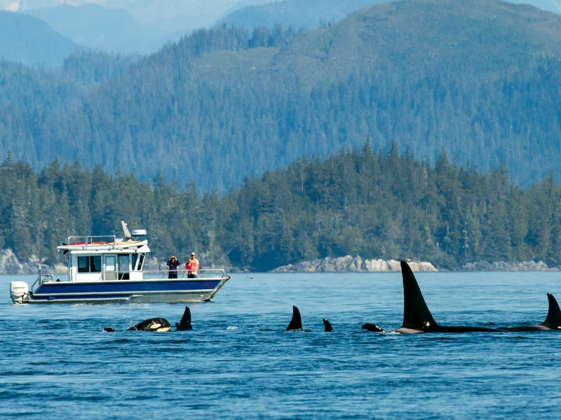 Nimmo Bay Resort | True West Coast Wilderness