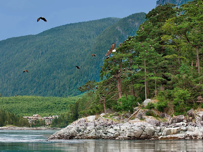 Salmon Fishing Package West Coast Canada | Sonora Resort