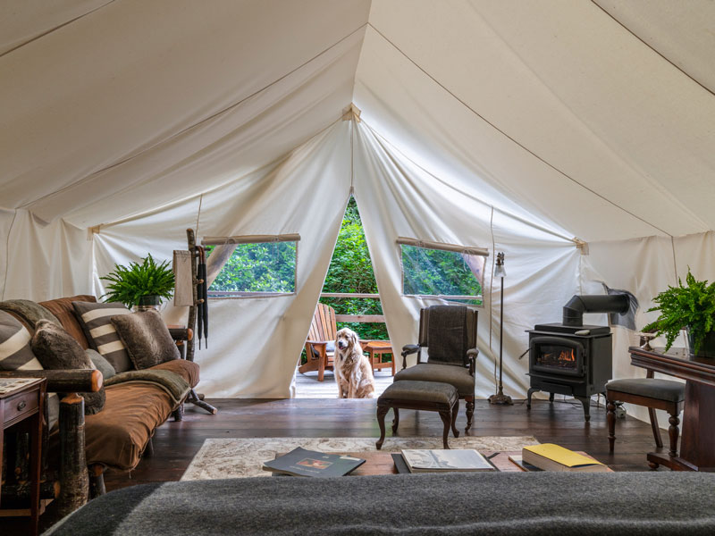 Sonora & Clayoquot Wilderness Lodge Ultimate Luxury Getaway