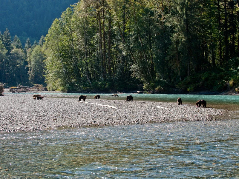 Sonora & Clayoquot Wilderness Lodge Ultimate Luxury Getaway