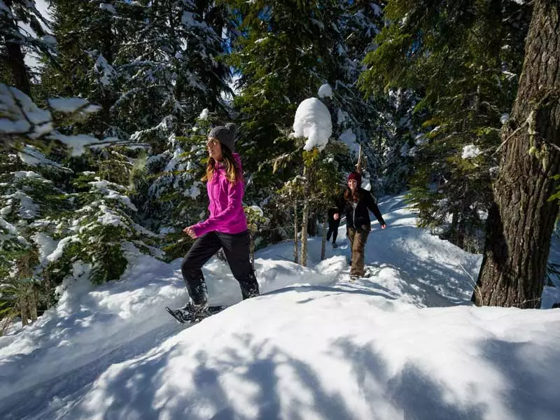 Whistler Winter Vacation | Ultimate Winter Playground | Snow Shoeing