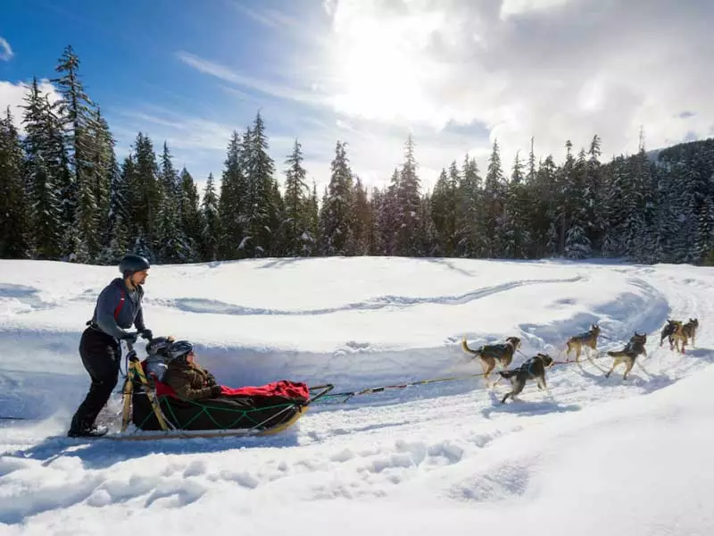 Whistler Winter Vacation | Ultimate Winter Playground | Dog Sledding
