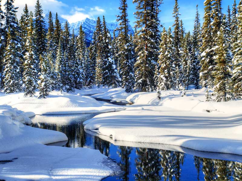 Canadian Rockies Winter Train Vacation | Bow River near Banff