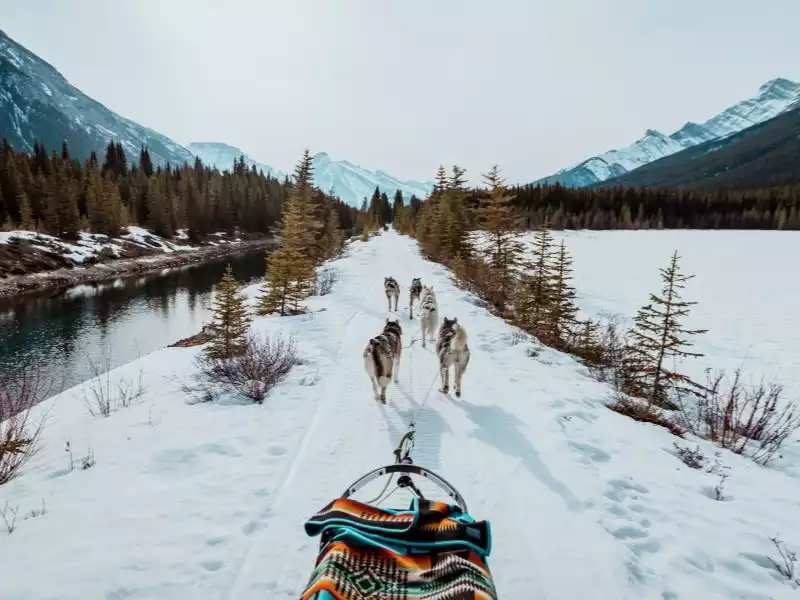 Canadian Rockies Winter Train Vacation | Dogsledding